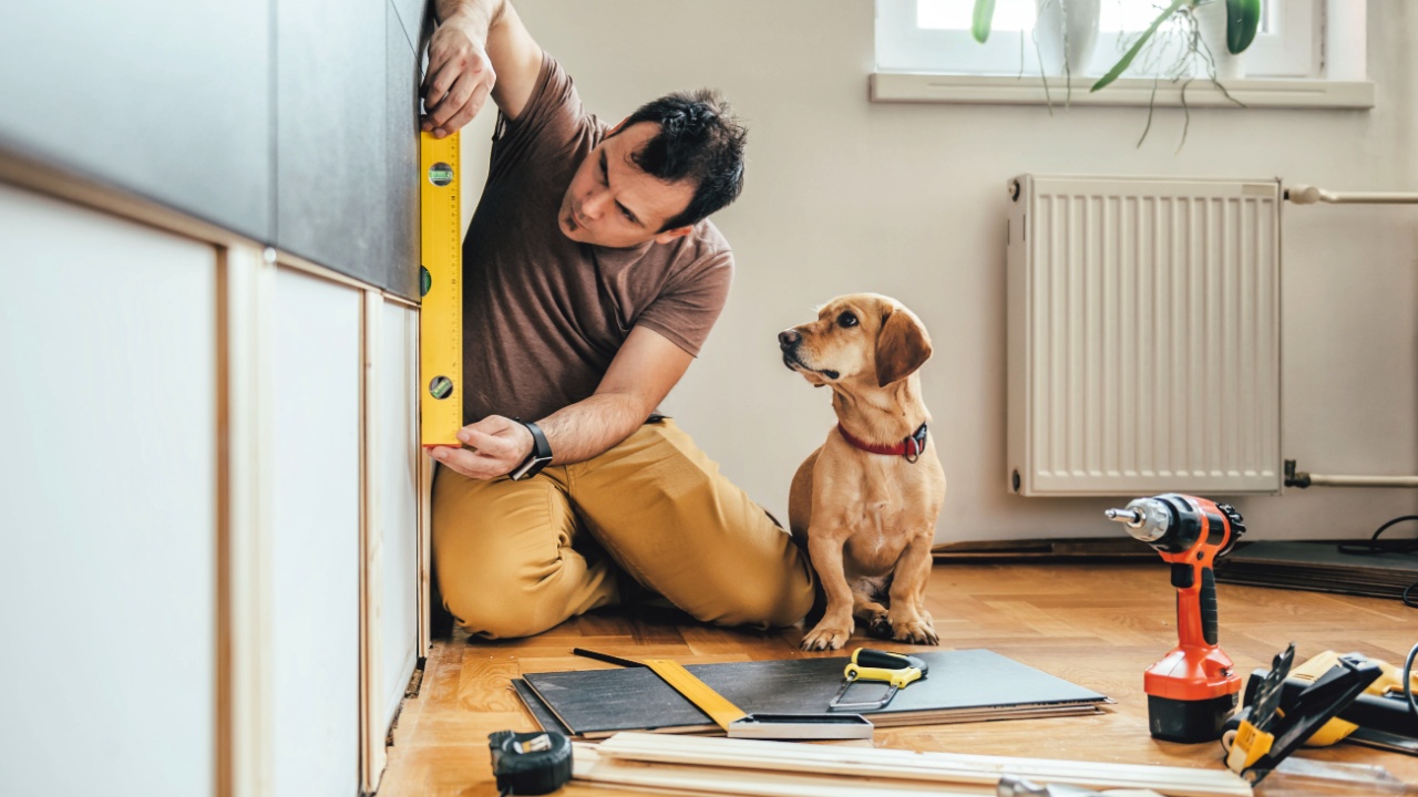 Man doing renovation work at home together with his small yellow dog